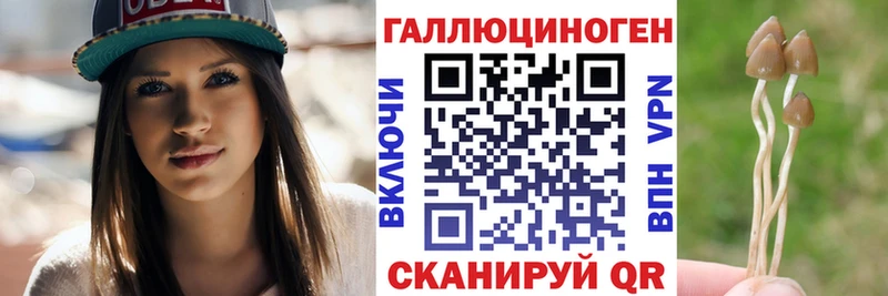 Галлюциногенные грибы мицелий  сколько стоит  mega ТОР  Чистополь 